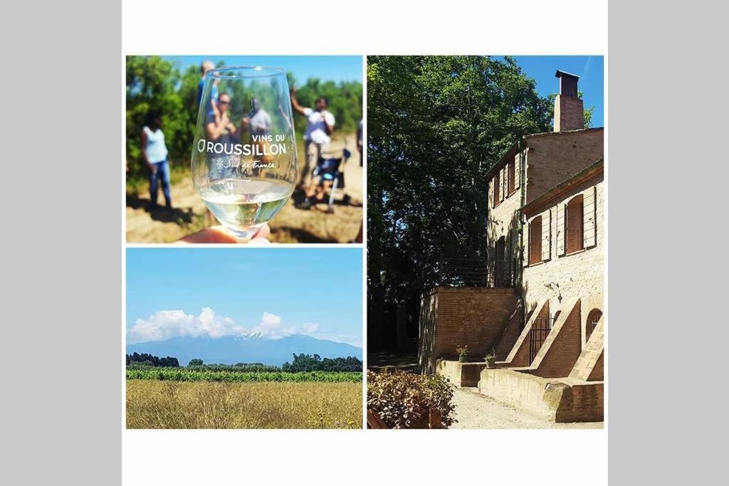 Gite De Charme Du Domaine Pagnon Guillemette Torreilles Zewnętrze zdjęcie