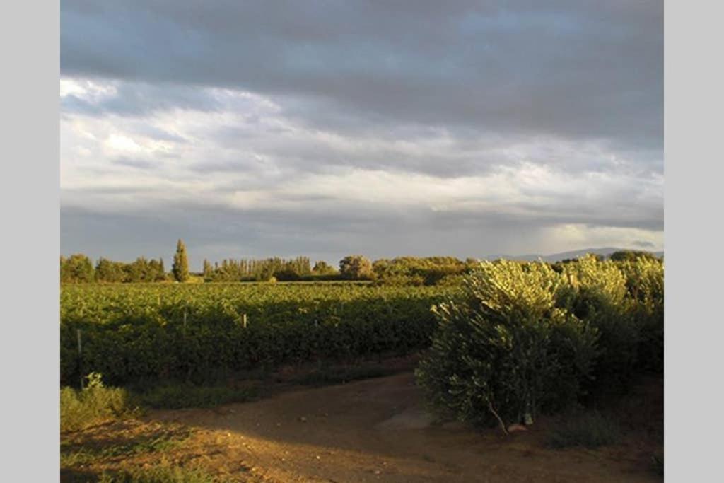 Gite De Charme Du Domaine Pagnon Guillemette Torreilles Zewnętrze zdjęcie