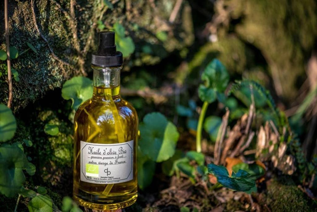 Gite De Charme Du Domaine Pagnon Guillemette Torreilles Zewnętrze zdjęcie
