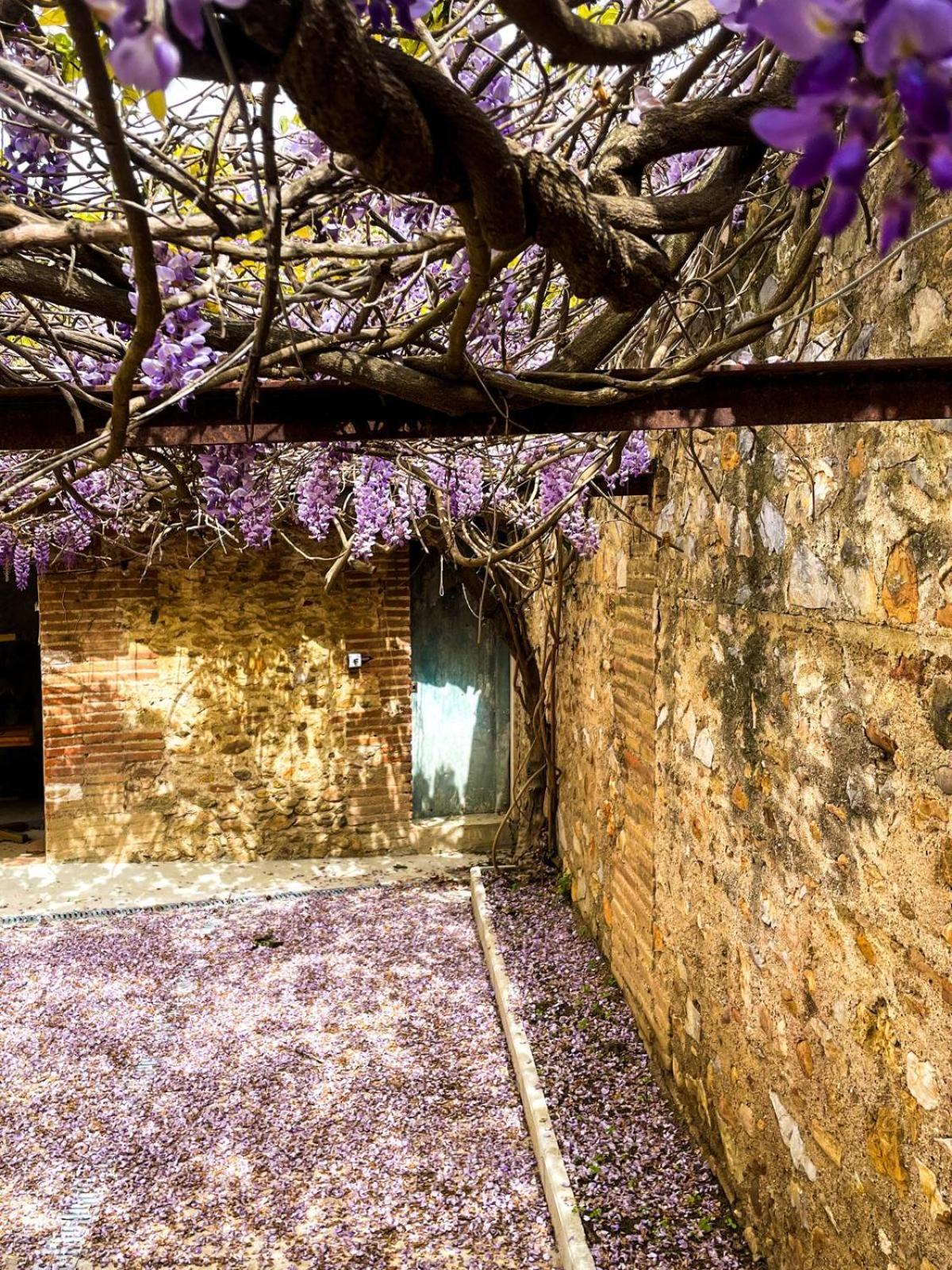 Gite De Charme Du Domaine Pagnon Guillemette Torreilles Zewnętrze zdjęcie